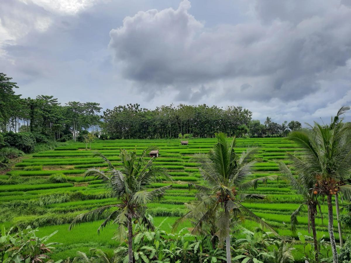 Serenity Private Villa Mas Ubud מראה חיצוני תמונה