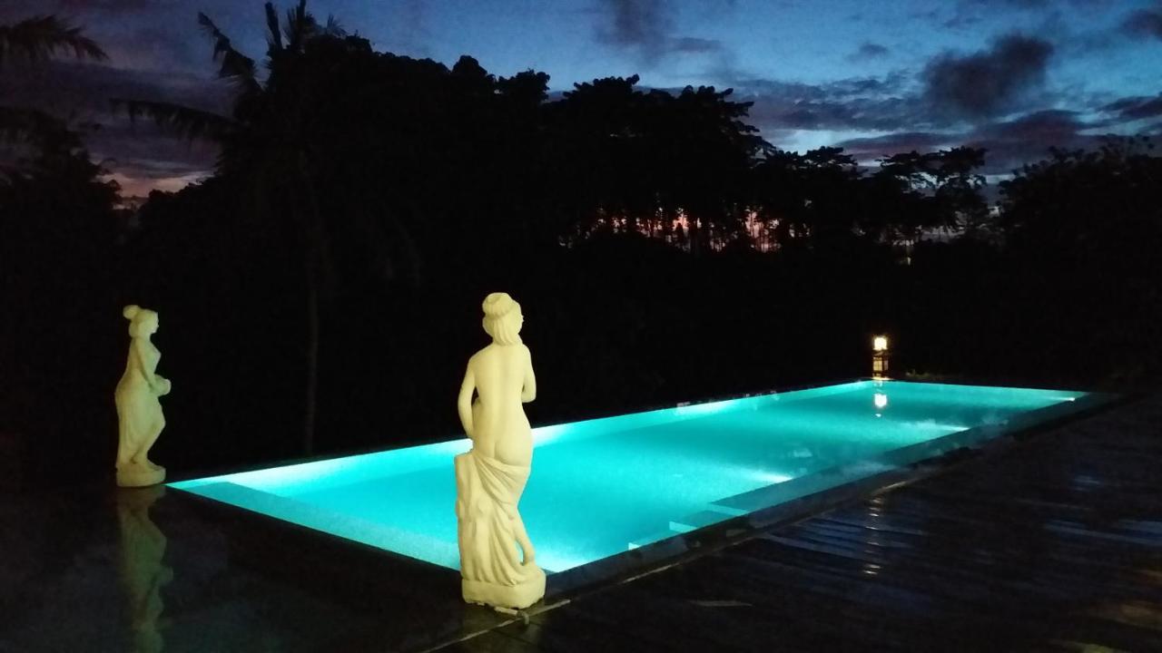 Serenity Private Villa Mas Ubud מראה חיצוני תמונה
