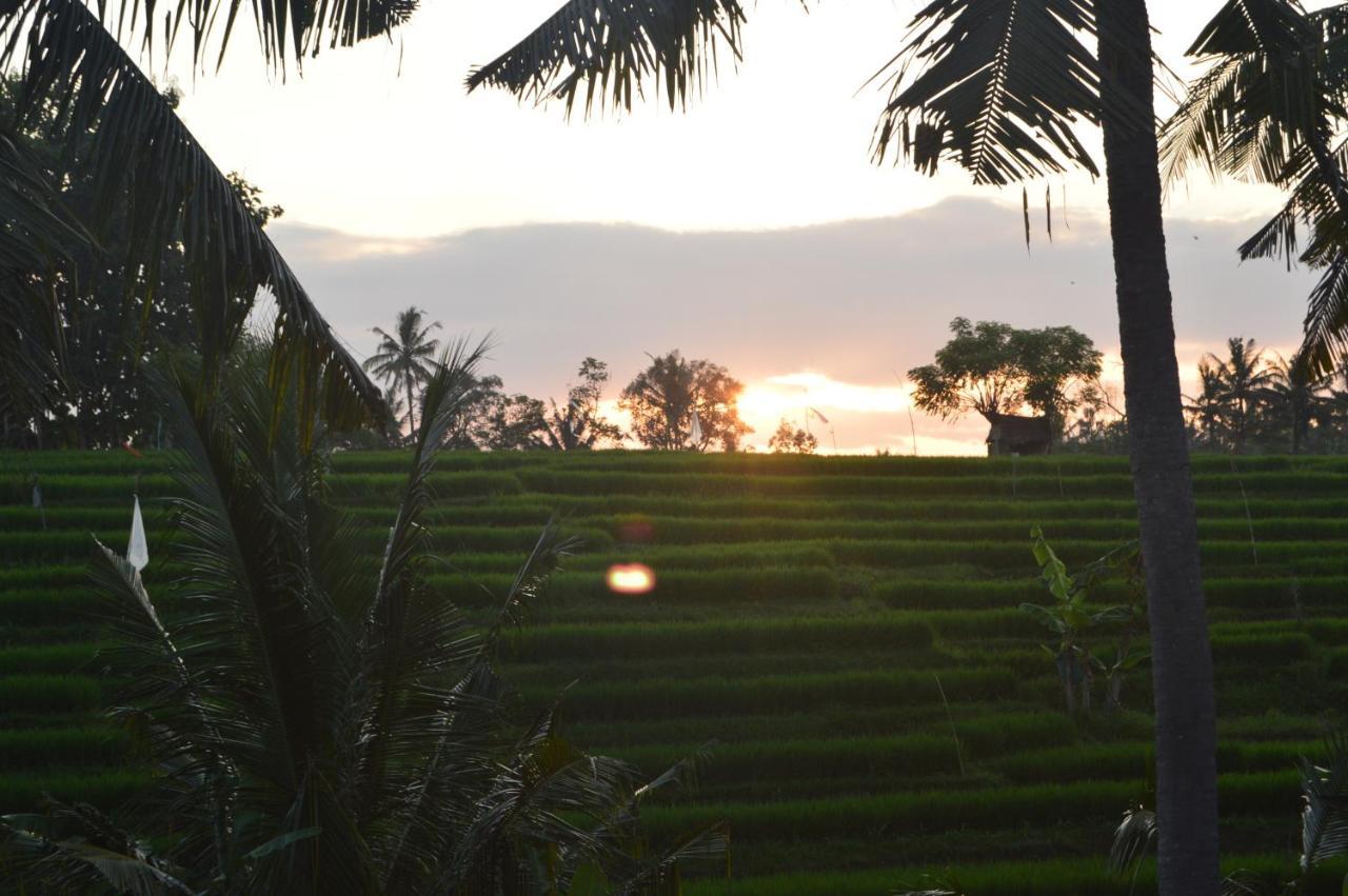 Serenity Private Villa Mas Ubud מראה חיצוני תמונה