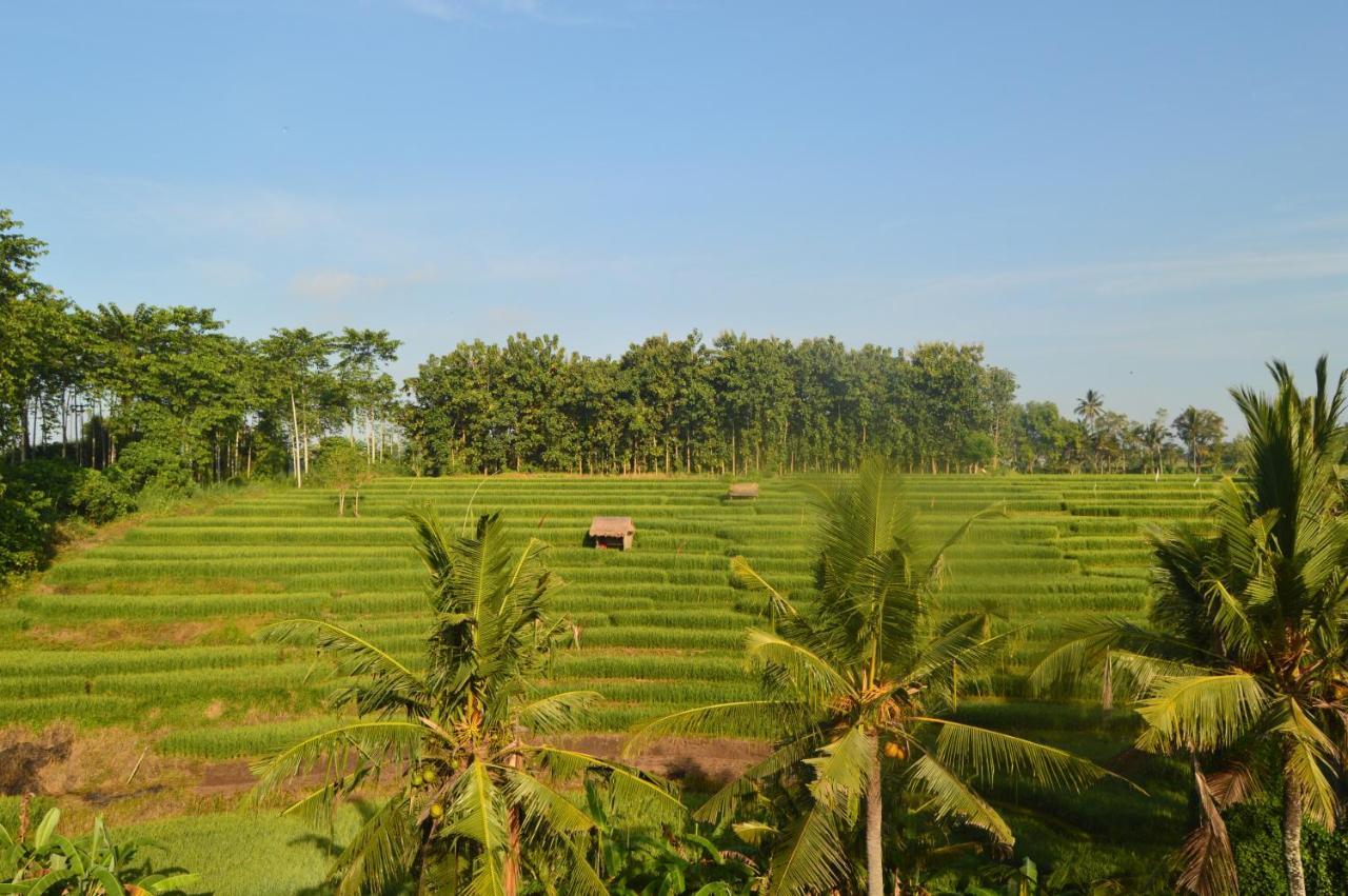 Serenity Private Villa Mas Ubud מראה חיצוני תמונה