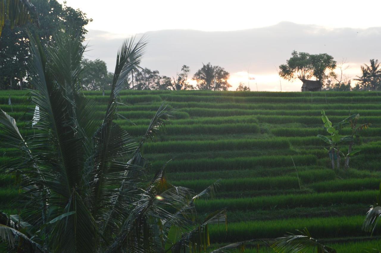 Serenity Private Villa Mas Ubud מראה חיצוני תמונה