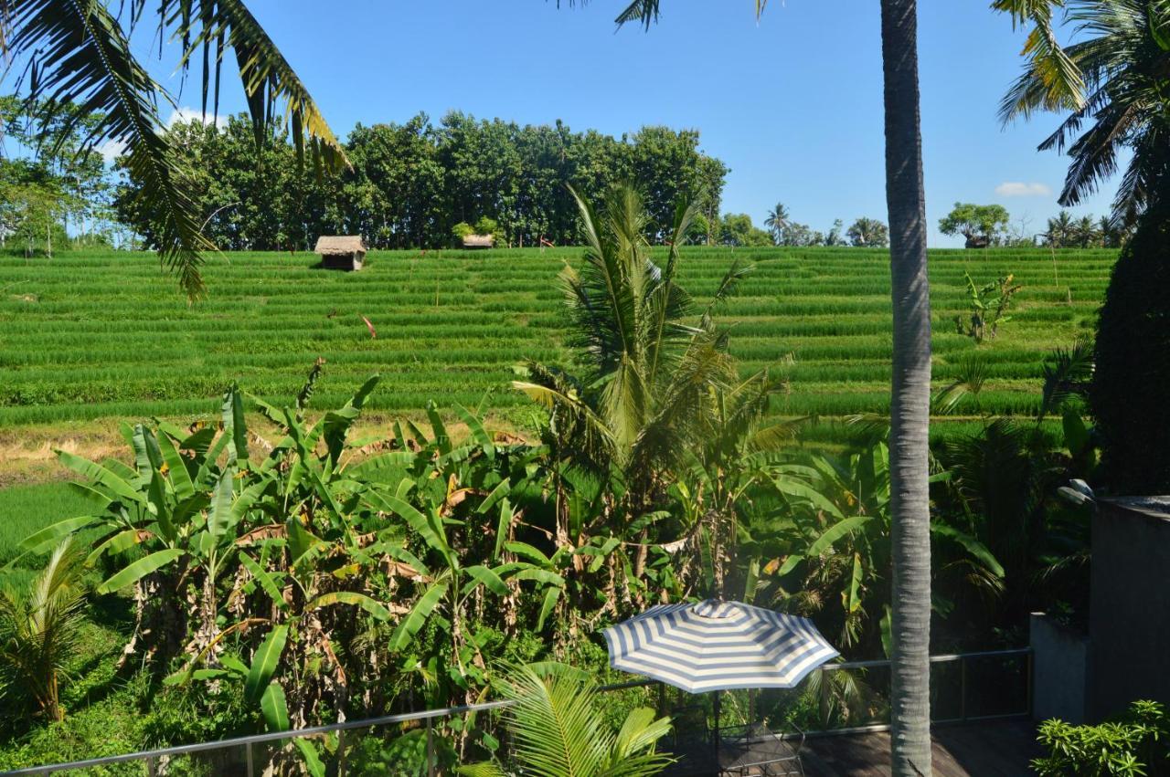 Serenity Private Villa Mas Ubud מראה חיצוני תמונה